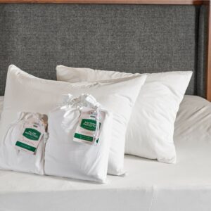 Organic Cotton Waterproof Mattress Protector & Pillow Protectors_Landscape_45th St Bedding