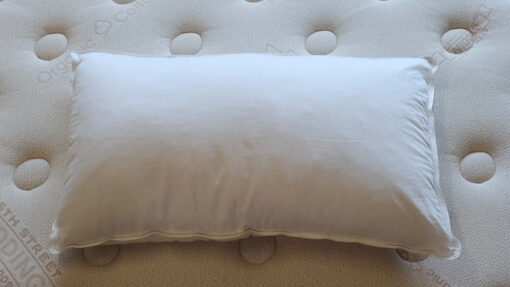 Shredded-latex pillow-top-view_45th-St-Bedding
