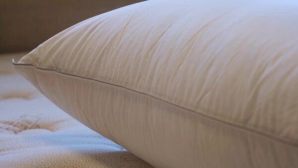 Down Pillow_Finsihed Edge Cotton Piping _45th St Bedding