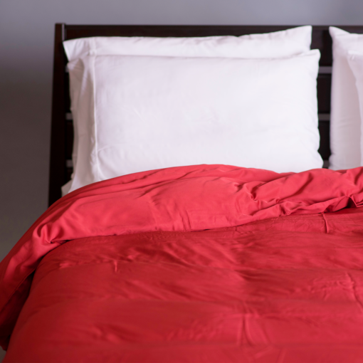 Bamboo Duvet Cover in Berry