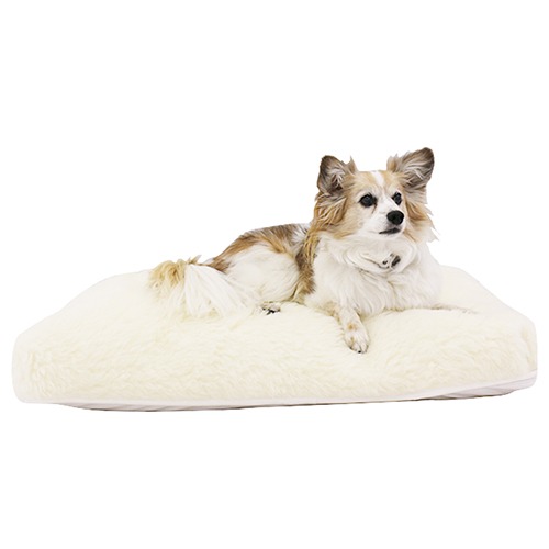 Pet Bed with Dog